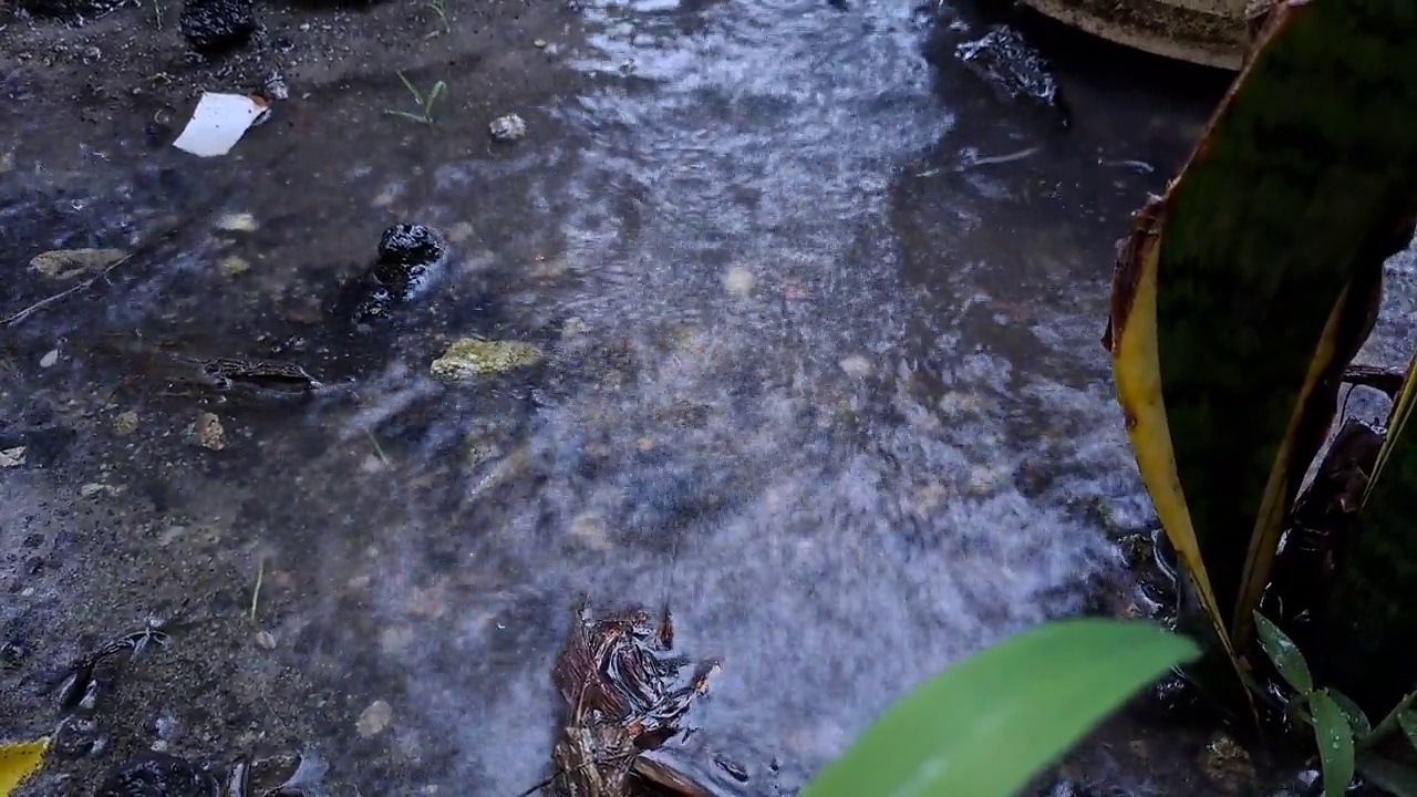 雨水滴落在地上。视频素材