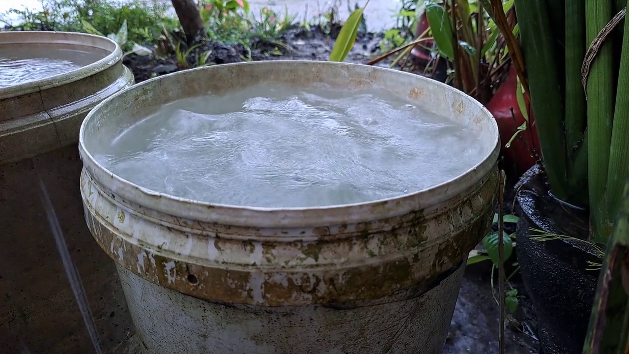 用塑料桶收集雨水。视频素材