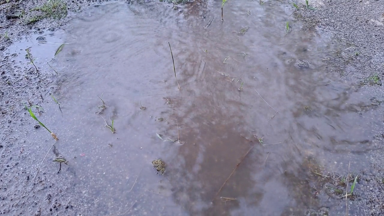 雨水滴落在地上。视频素材