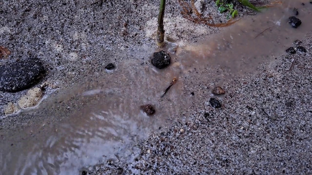 水和雨流过地面。视频素材