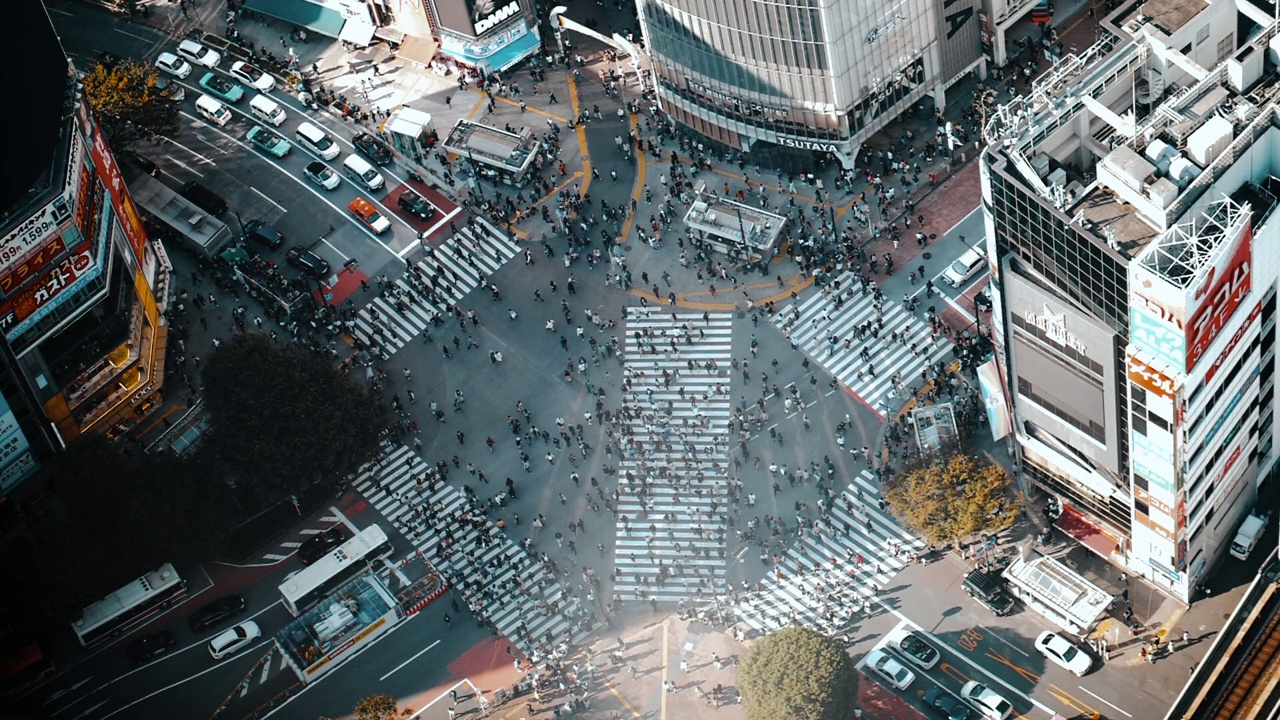 东京涩谷十字路口，许多行人和车辆穿过十字路口视频素材