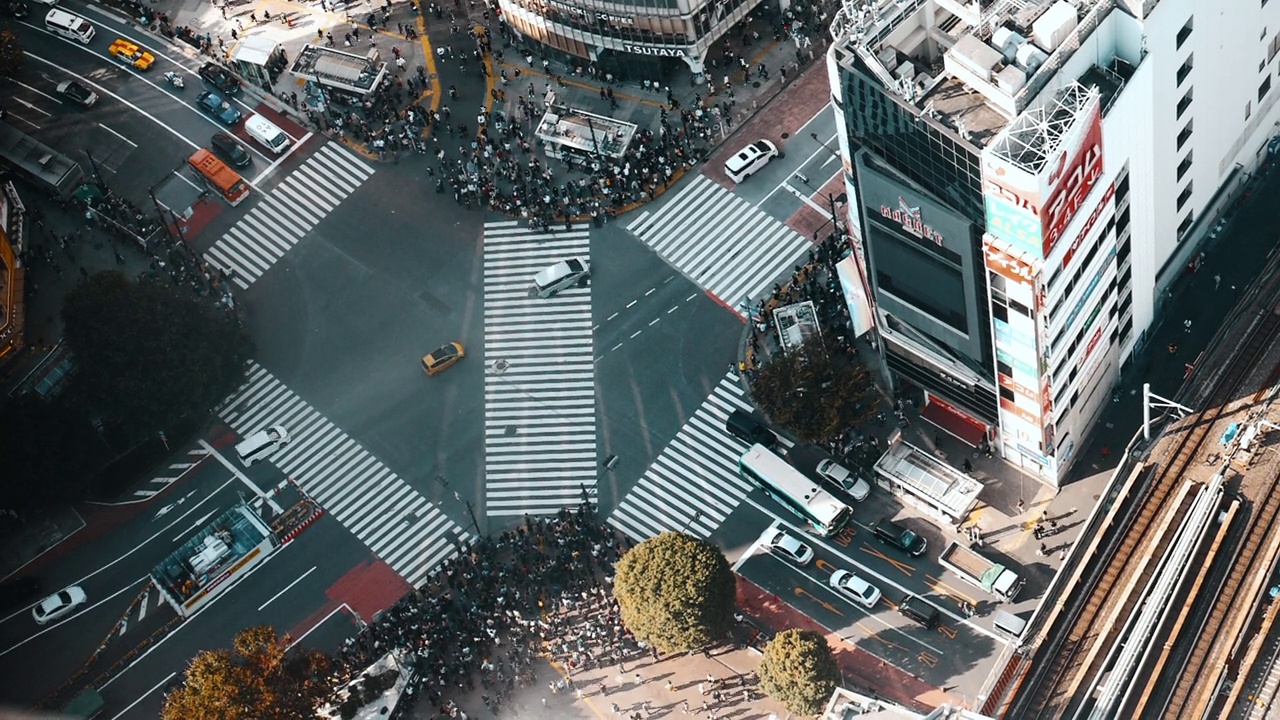 东京涩谷十字路口，许多行人和车辆穿过十字路口视频素材