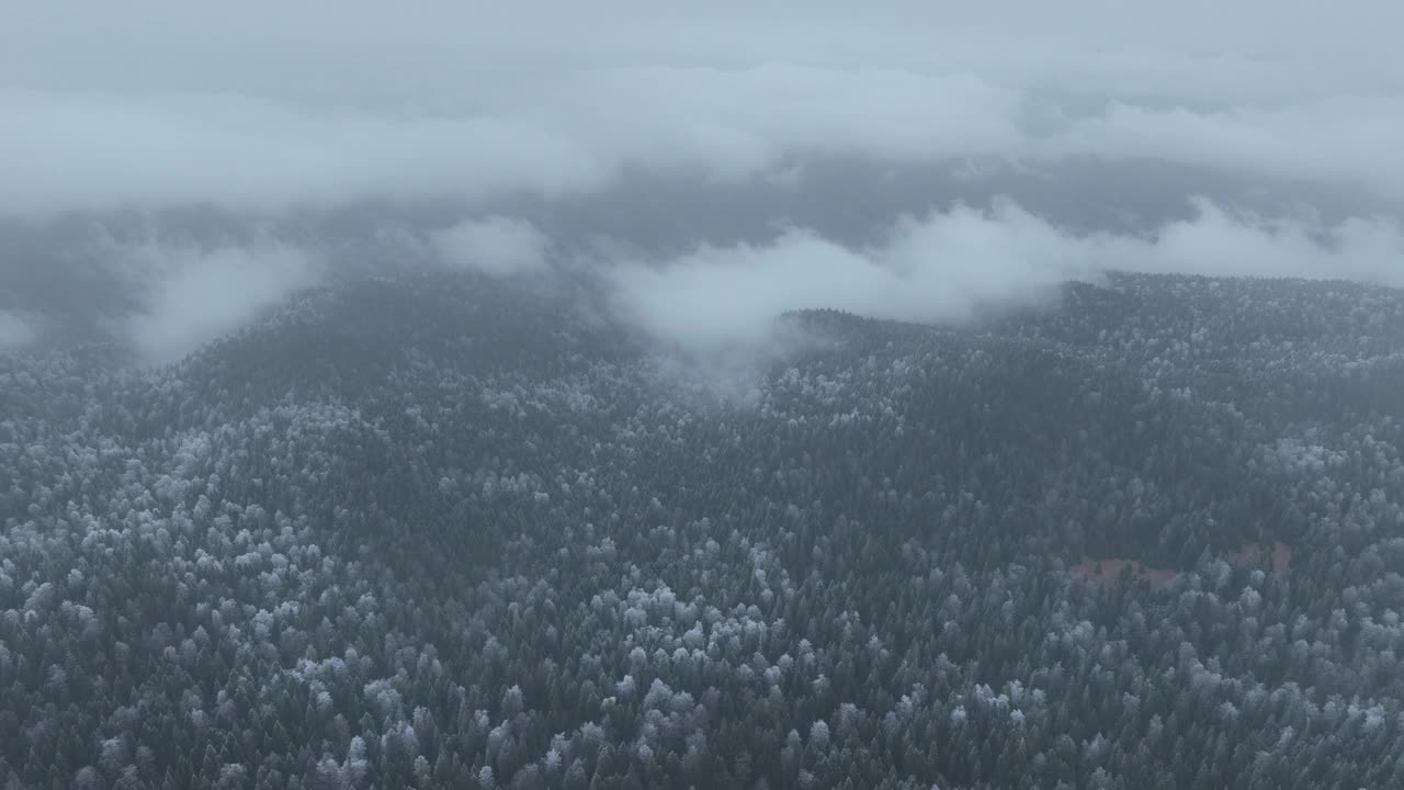 鸟瞰北方雪林冬季景观，降雪和第一次新鲜积雪覆盖的森林，自上而下的视图。视频素材