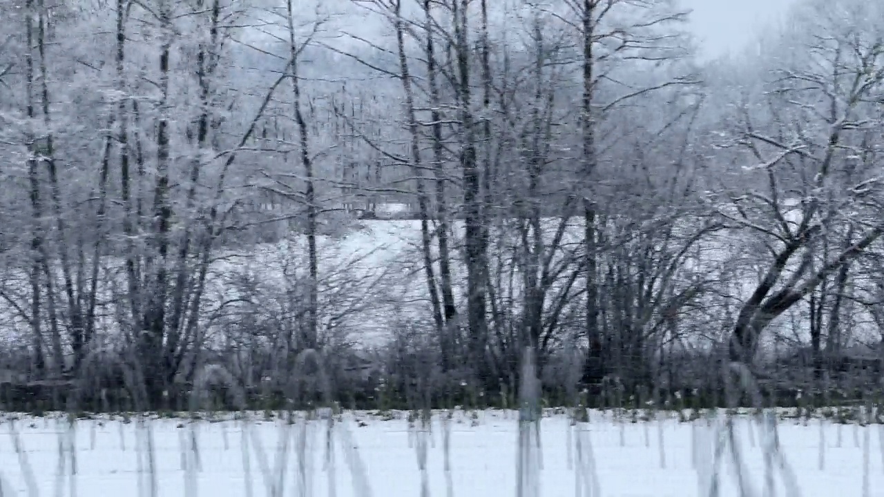 火车行驶在白霜的乡村冬季景观中视频素材