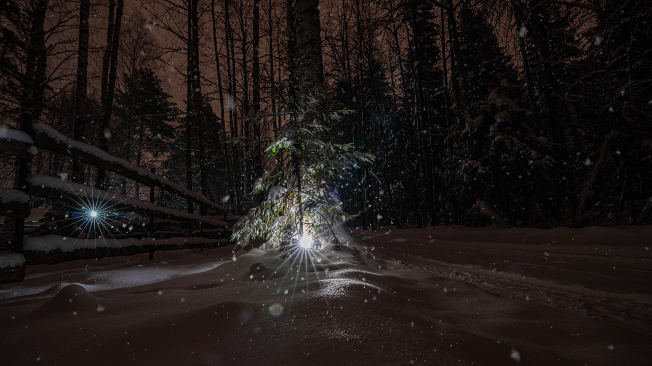 冬季景观与降雪，圣诞节冬季美丽的景观，cinemagraph，视频循环，美丽的软降雪视频素材