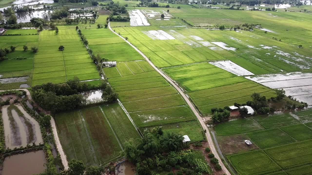 泰国北部清莱省南部Pa Daet地区农业和稻田的鸟瞰图。视频素材