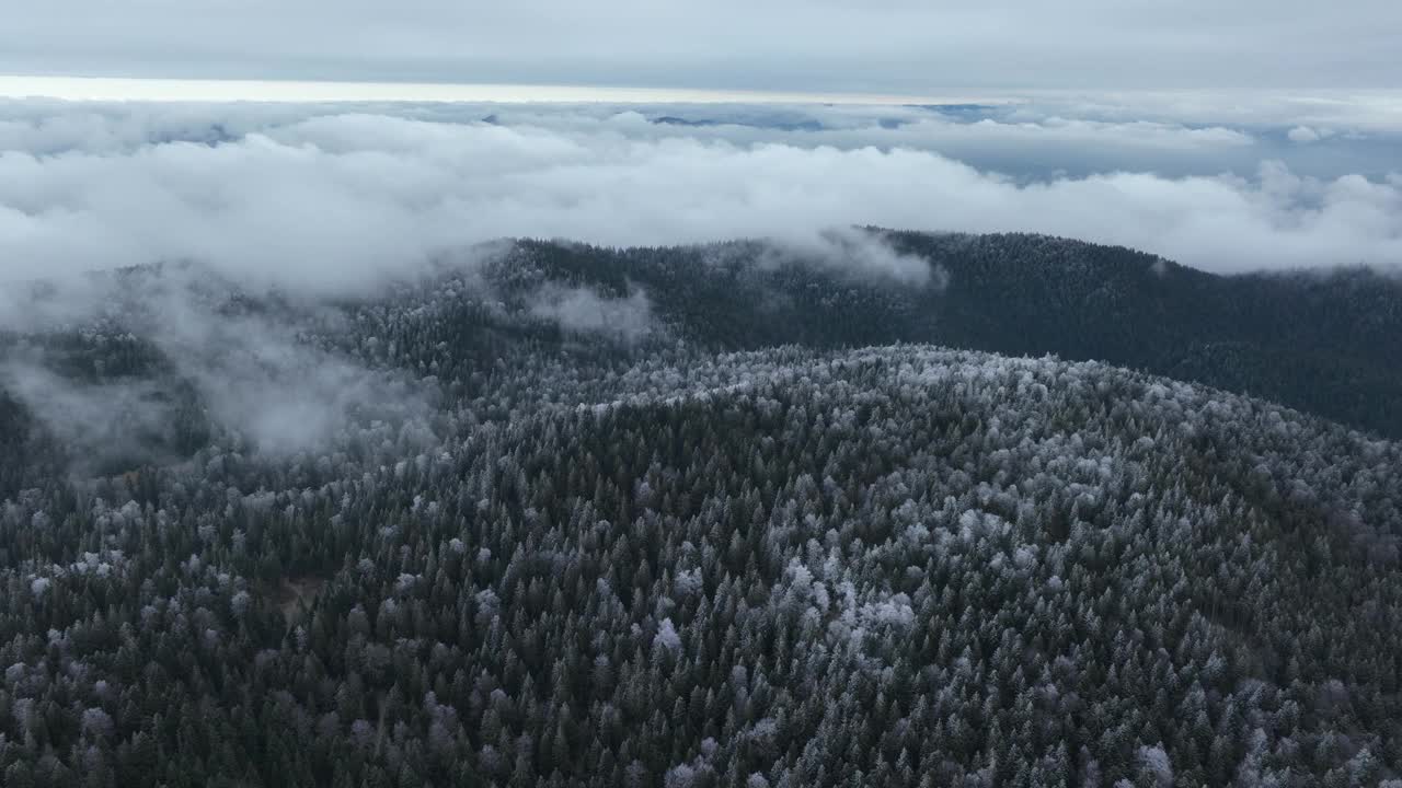 鸟瞰北方雪林冬季景观，降雪和第一次新鲜积雪覆盖的森林，自上而下的视图。视频素材