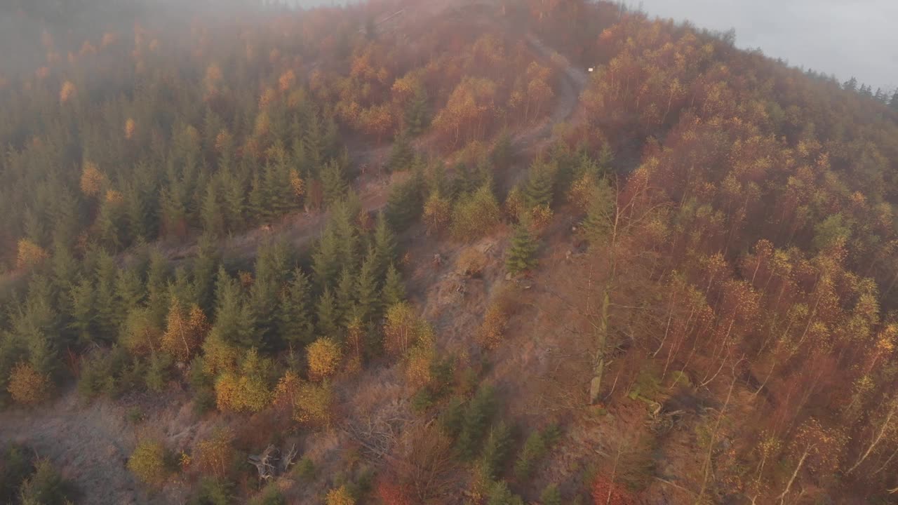 德国绍尔兰大雾日出的航拍影像视频素材