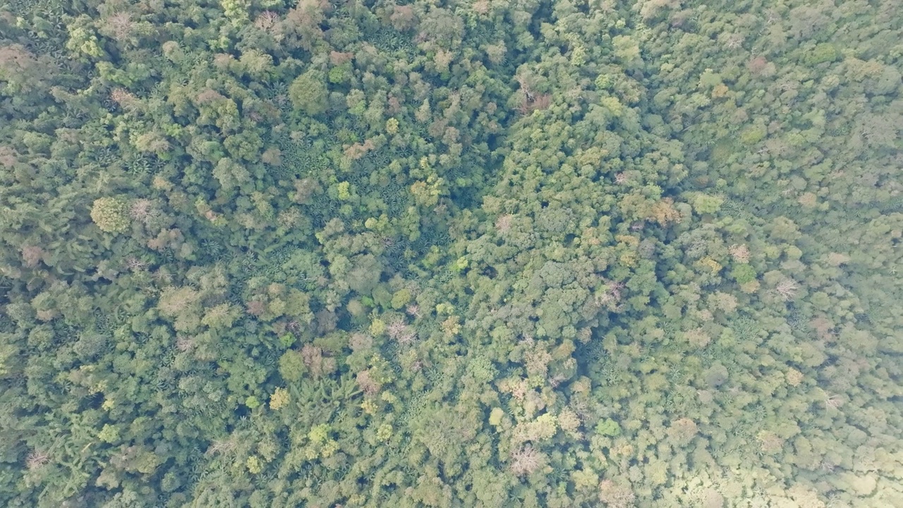 由无人机从空中拍摄的热带雨林，描绘了泰国自然、山脉和森林的风景。视频下载