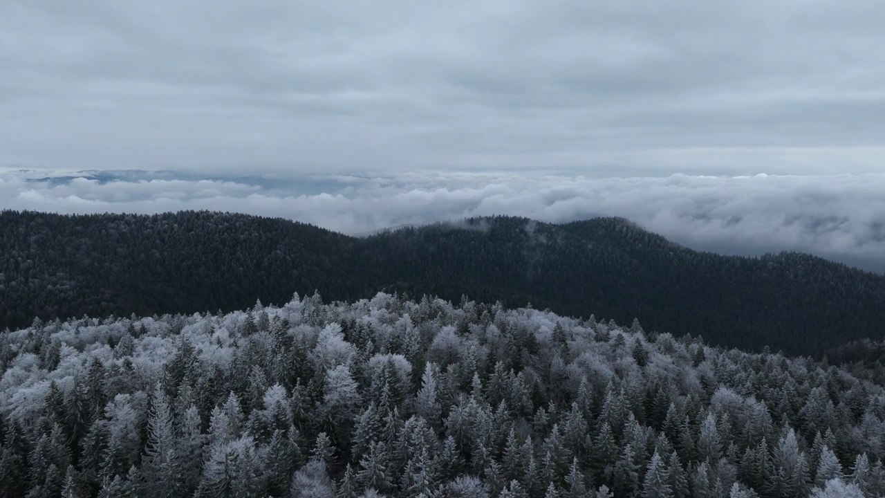 鸟瞰北方雪林冬季景观，降雪和第一次新鲜积雪覆盖的森林，自上而下的视图。视频素材