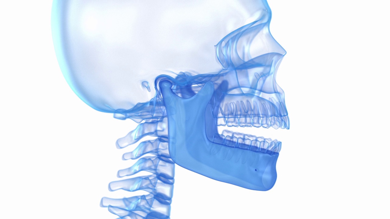 颞下颌关节问题。医学精准3D动画视频素材