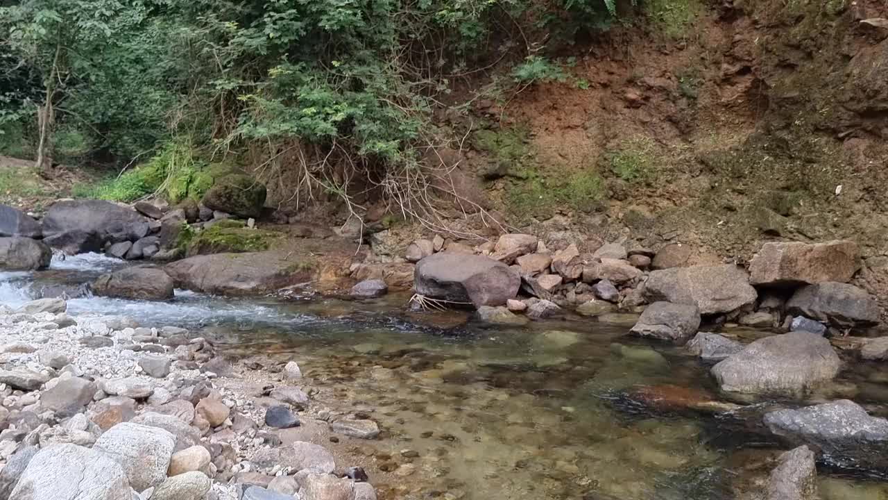 美丽的河流岩石和清澈的水在印度喀拉拉邦的森林中流动。视频素材