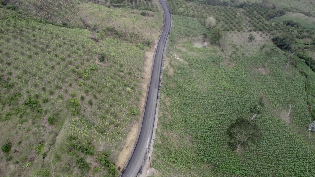 鸟瞰覆盖着绿色灌木的田野中的道路视频素材