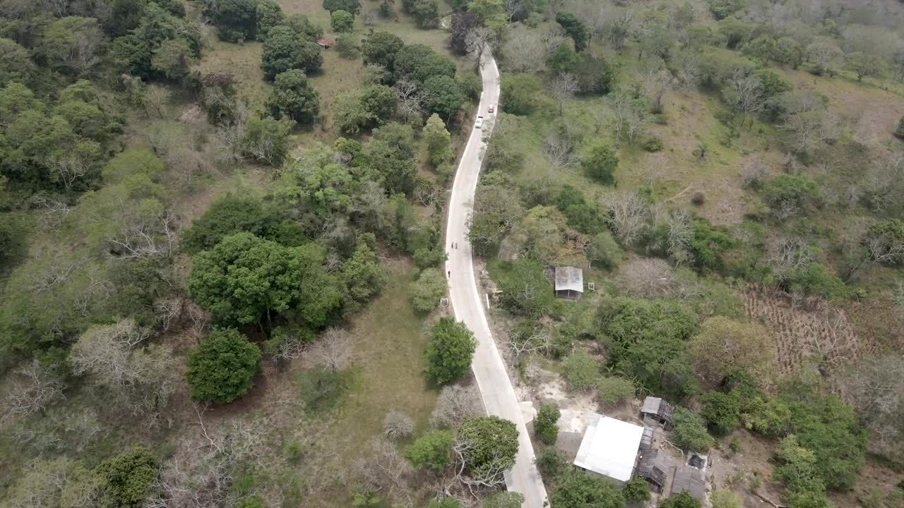 鸟瞰覆盖着绿色灌木的田野中的道路视频素材