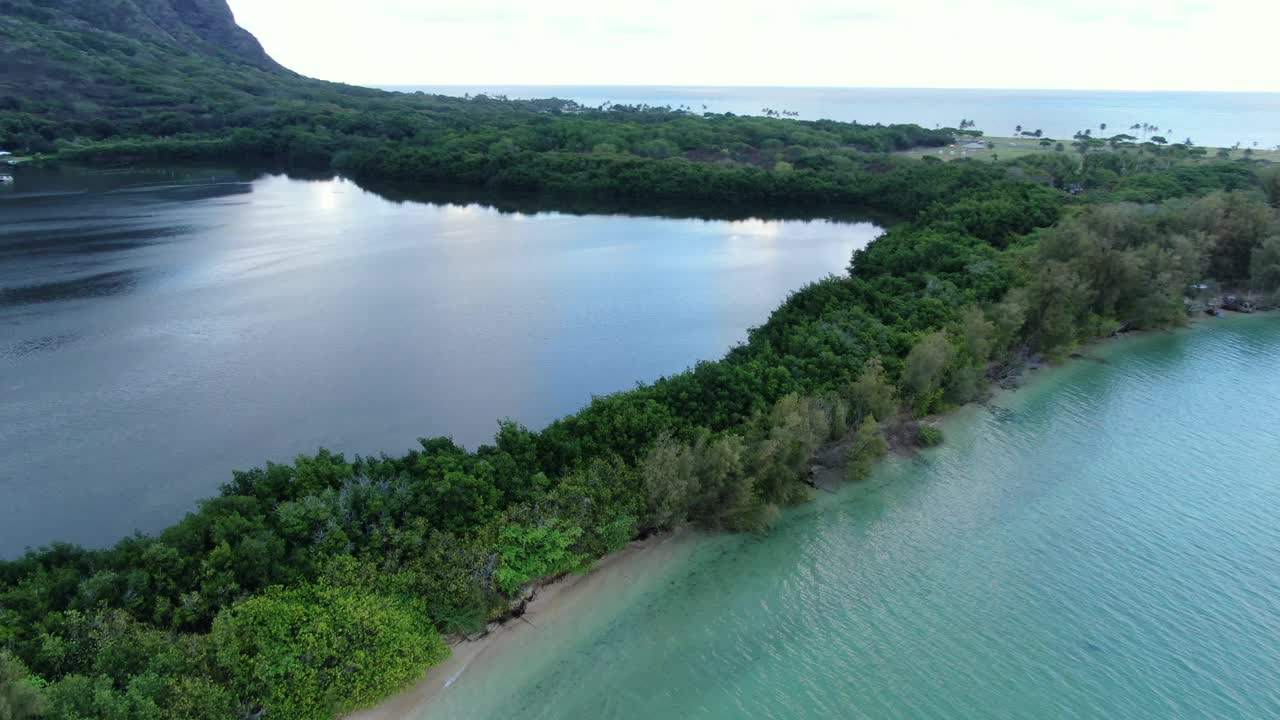 在海洋和传统夏威夷鱼塘之间的天然墙壁上飞行视频素材