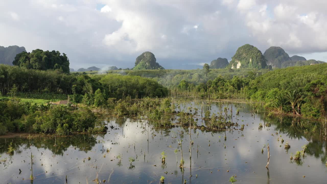 视频的沼泽与森林和多云的天空为背景视频素材