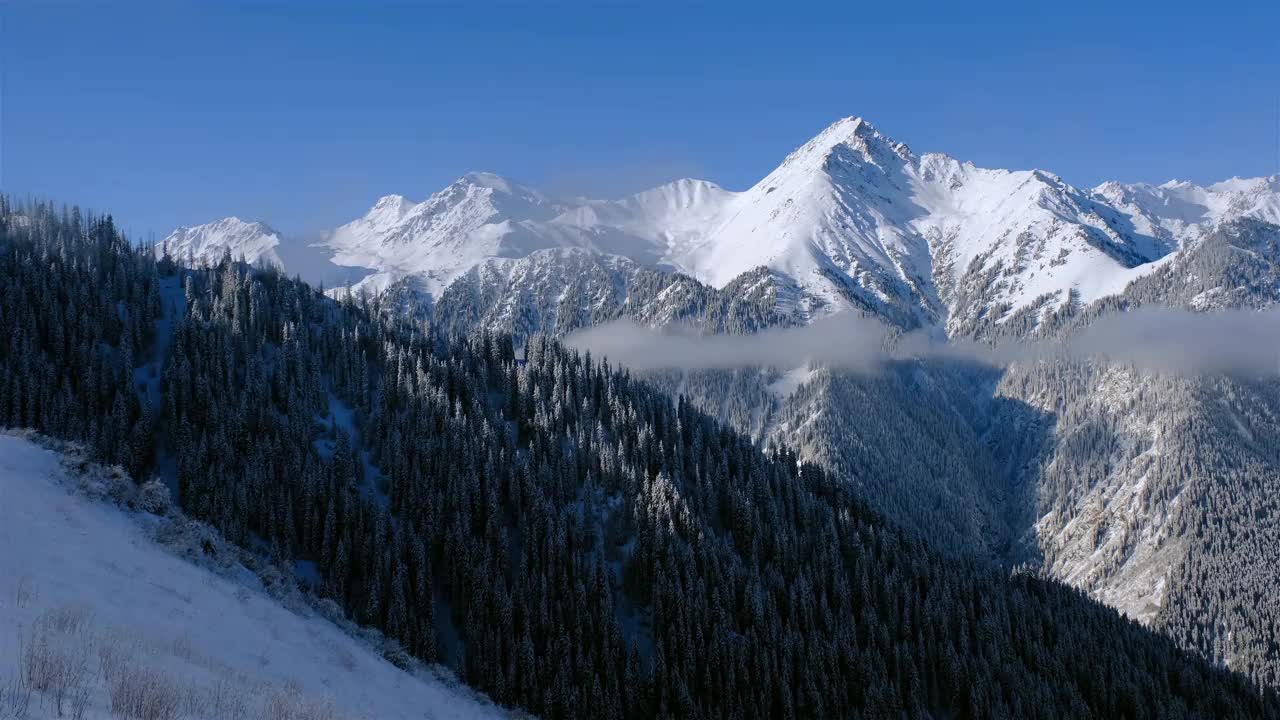 山雪冬峰林视频素材