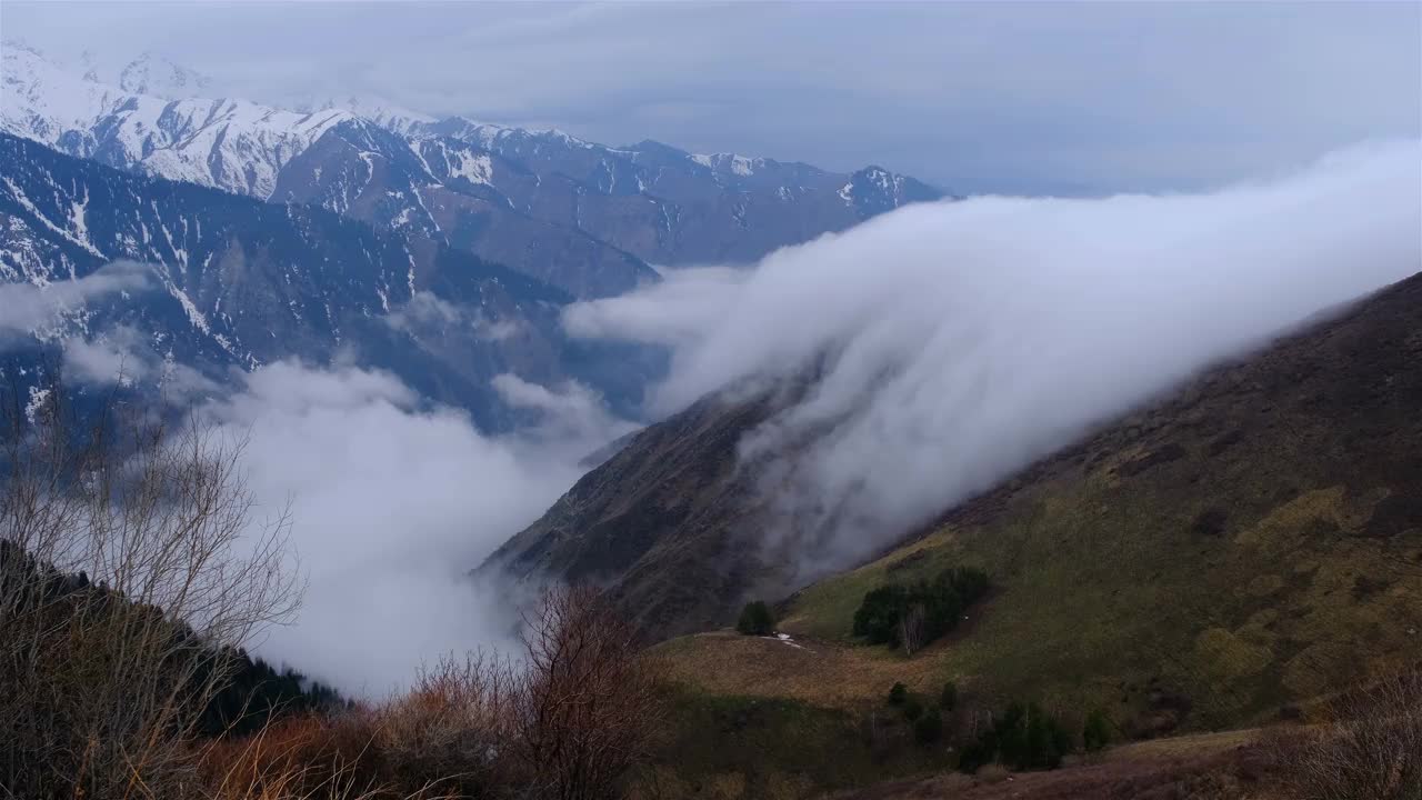 山春云树视频素材