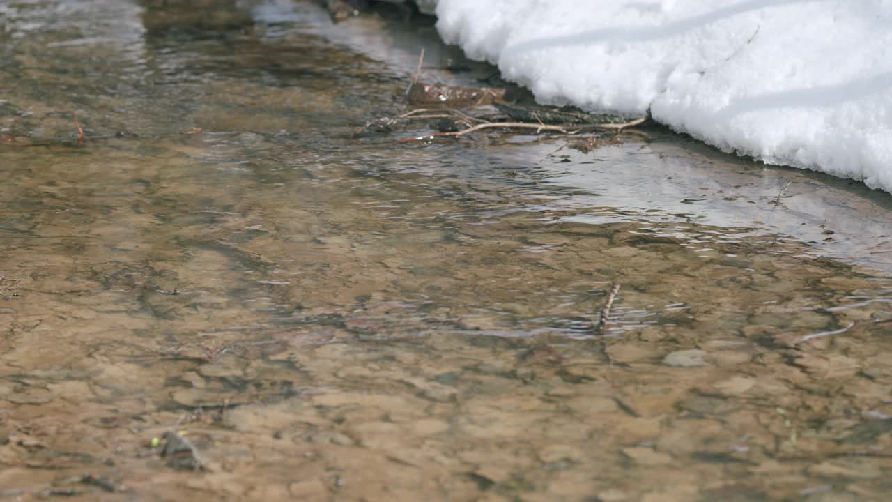 清澈的溪水纹理。河岸上有些雪。视频素材