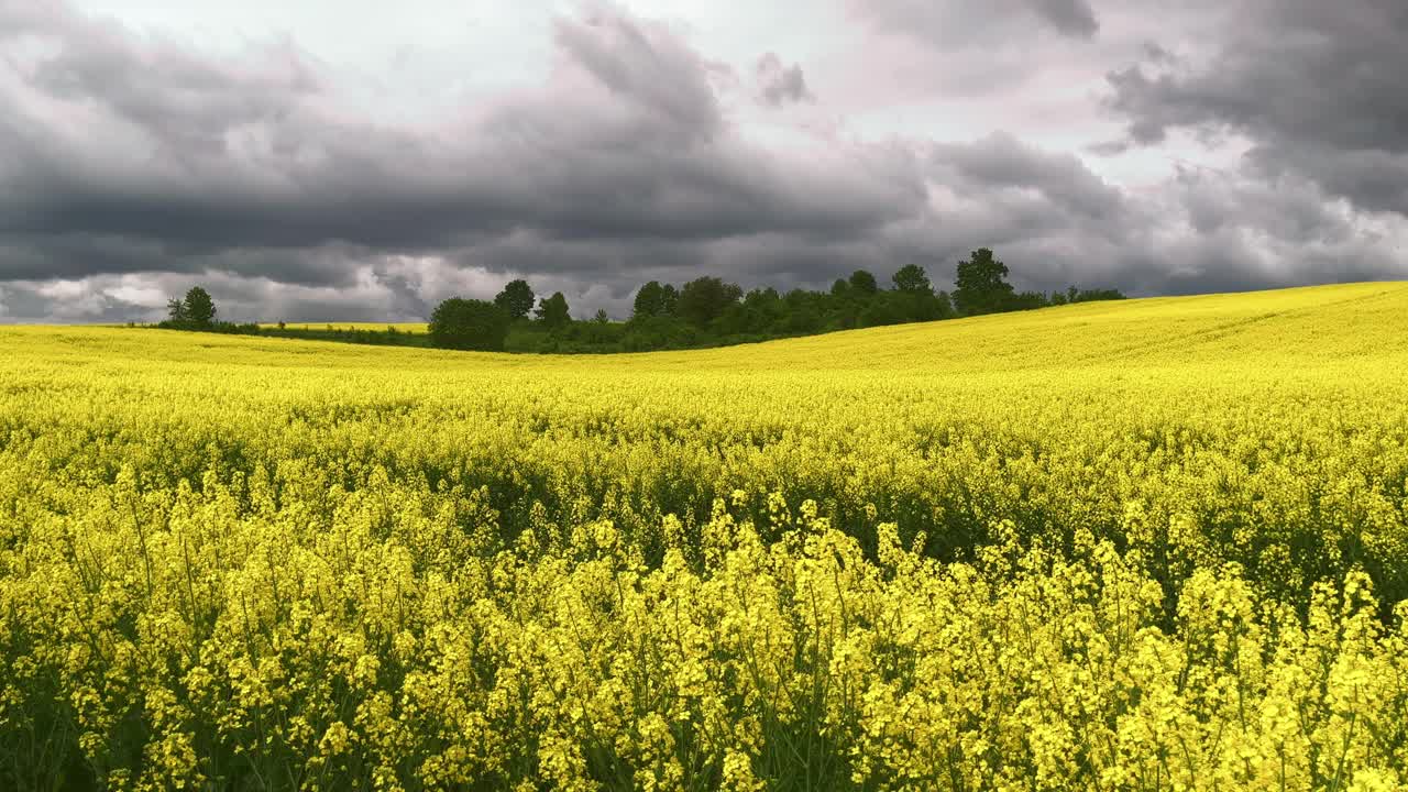 一片乌云下的乌克兰农业视频素材