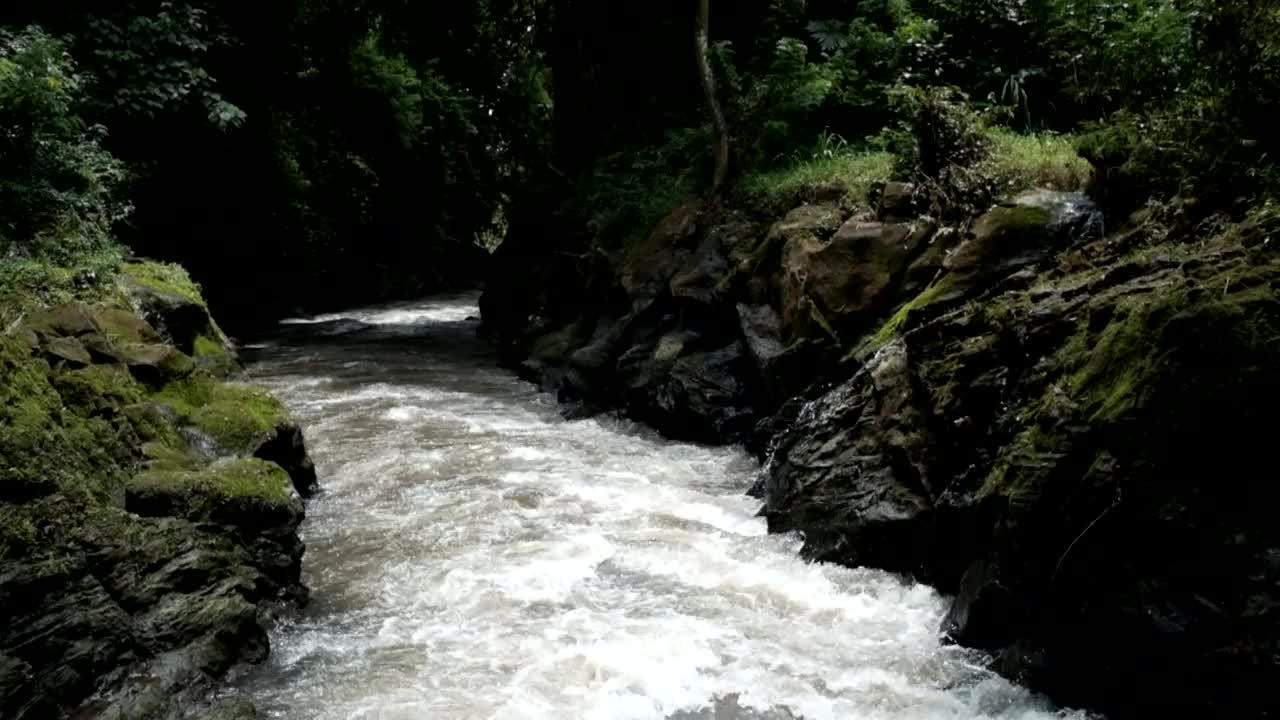 水在河里流动视频素材