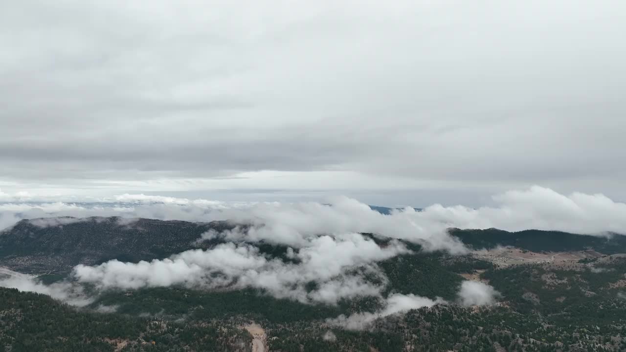 森林和雾山视频素材