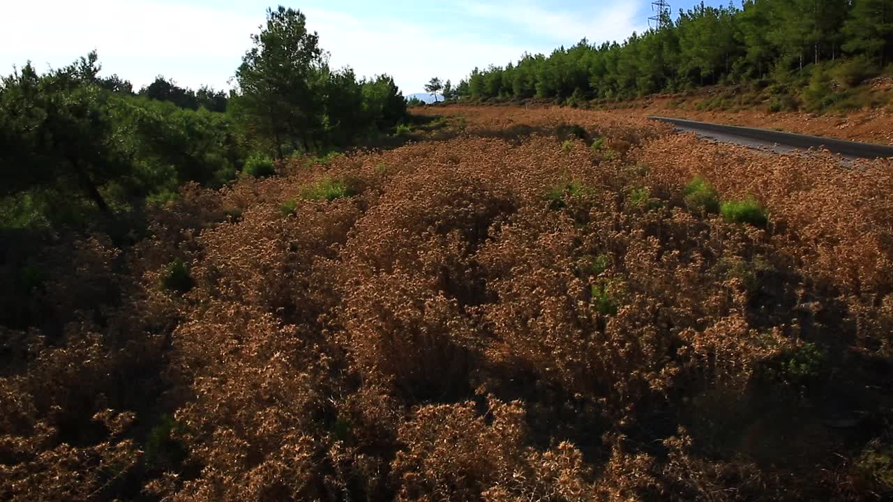 地面乡村地区路边视图视频素材