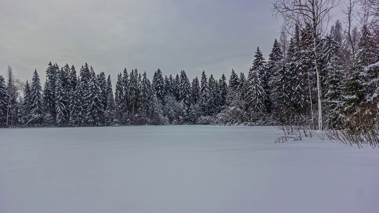 时间流逝的雪林景观，太阳移动后的云，冬季林地视频素材