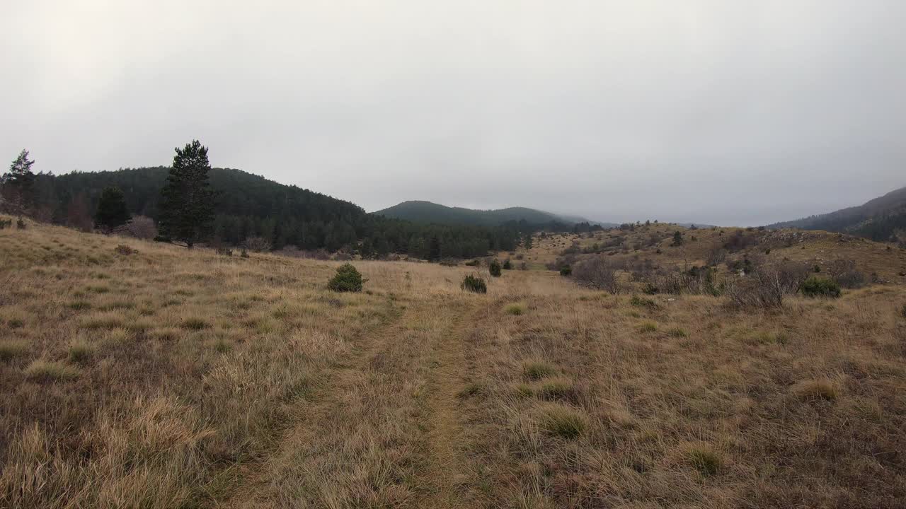 鸟瞰一个多雾的日子里，一个女人在覆盖着绿色森林的山上慢跑视频素材