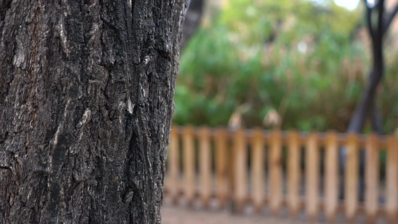 身着黄色外套，戴着口罩的西班牙女子在公园散步时打着伞视频素材