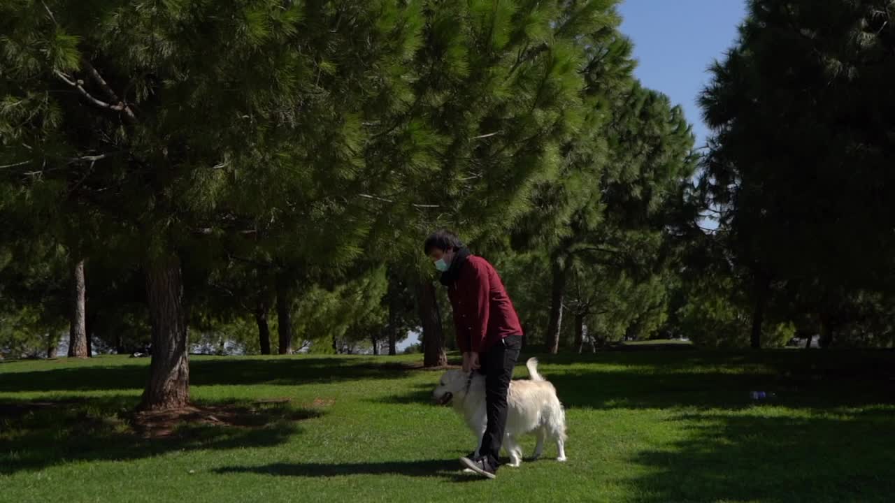 一名戴着面具的西班牙男子在公园里慢动作地和他的金毛猎犬散步玩耍视频素材