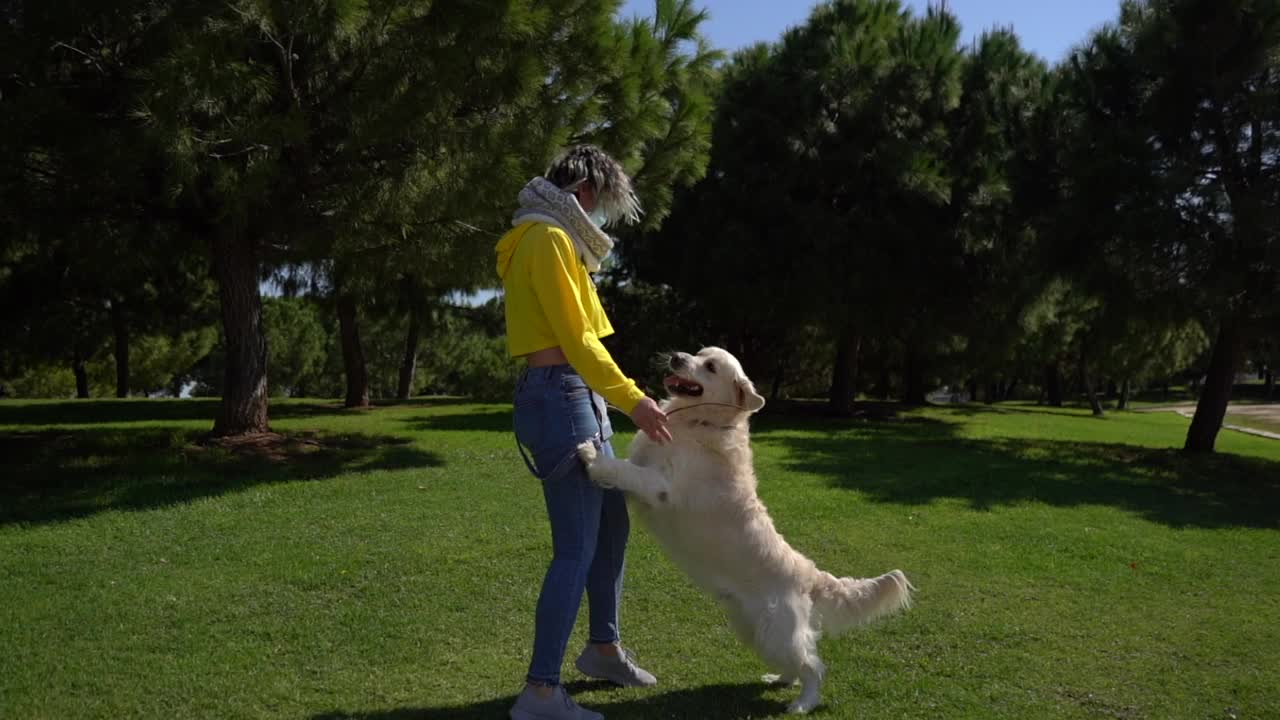 一名戴着面膜的白人女性在公园里用慢动作和她的金毛猎犬玩耍视频素材