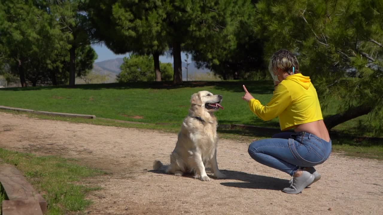 一名戴着面膜的白人女性在公园里用慢动作和她的金毛猎犬玩耍视频素材