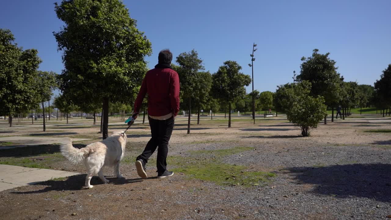 一名戴着面具的西班牙男子在公园里慢动作地和他的金毛猎犬散步玩耍视频素材