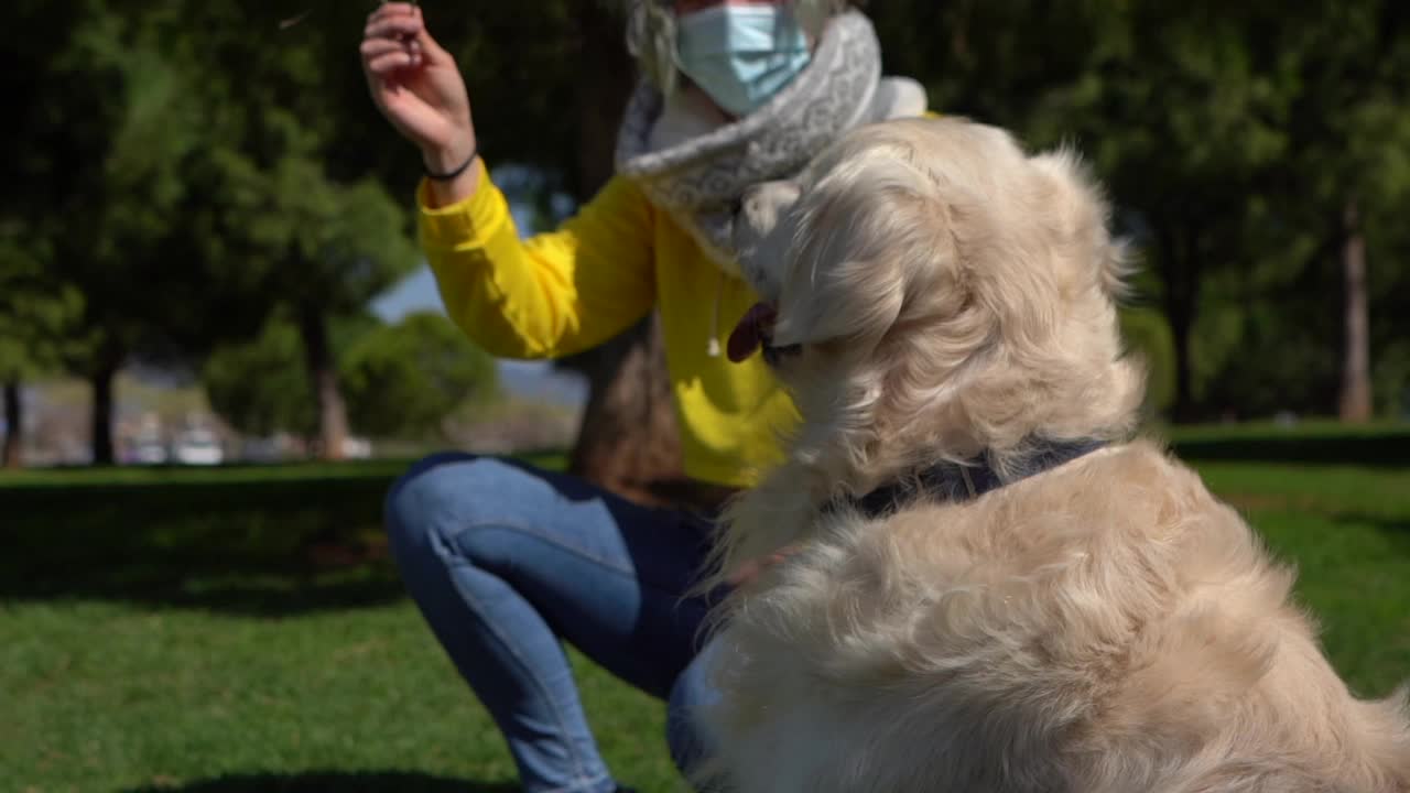 一名戴着面膜的白人女性在公园里用慢动作和她的金毛猎犬玩耍视频素材