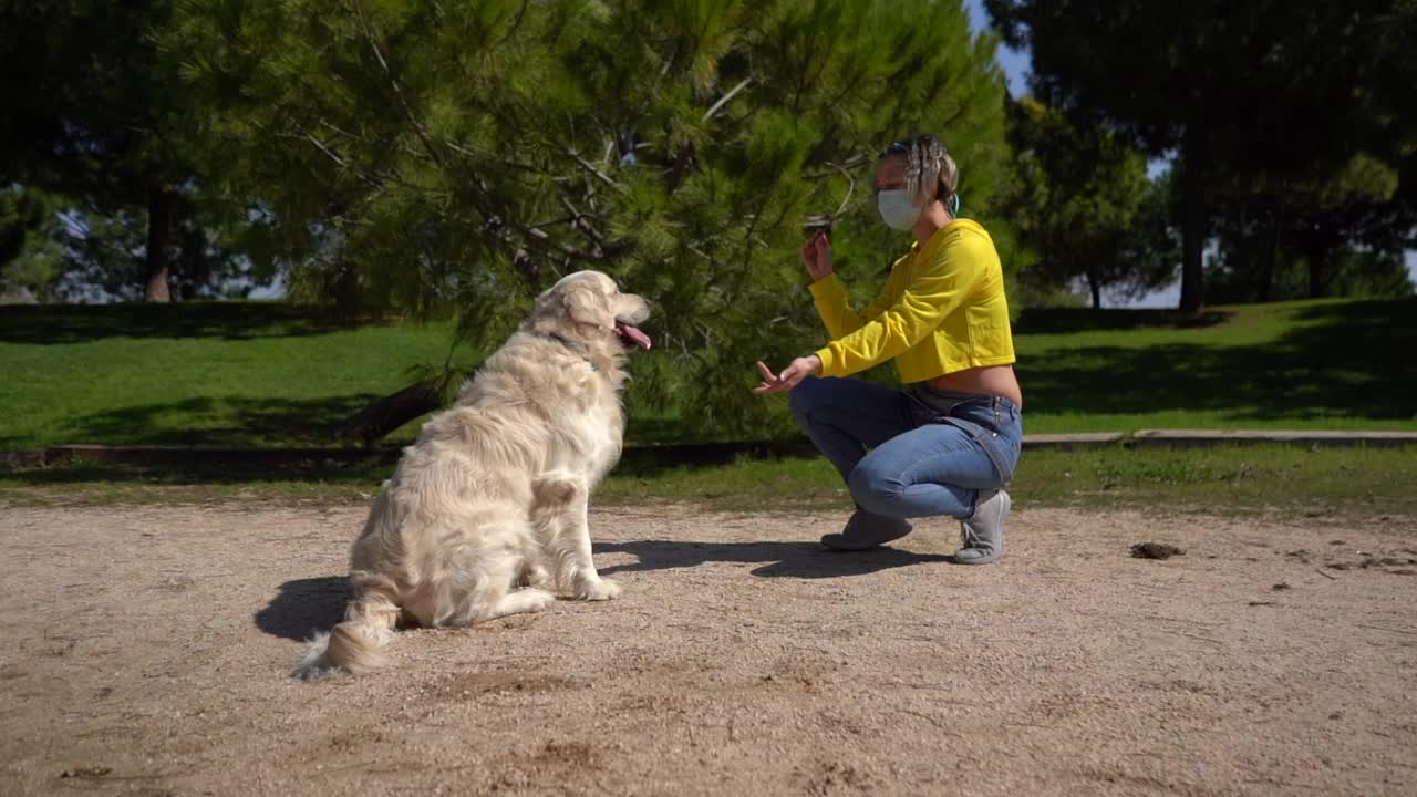 一名戴着面膜的白人女性在公园里用慢动作和她的金毛猎犬玩耍视频素材