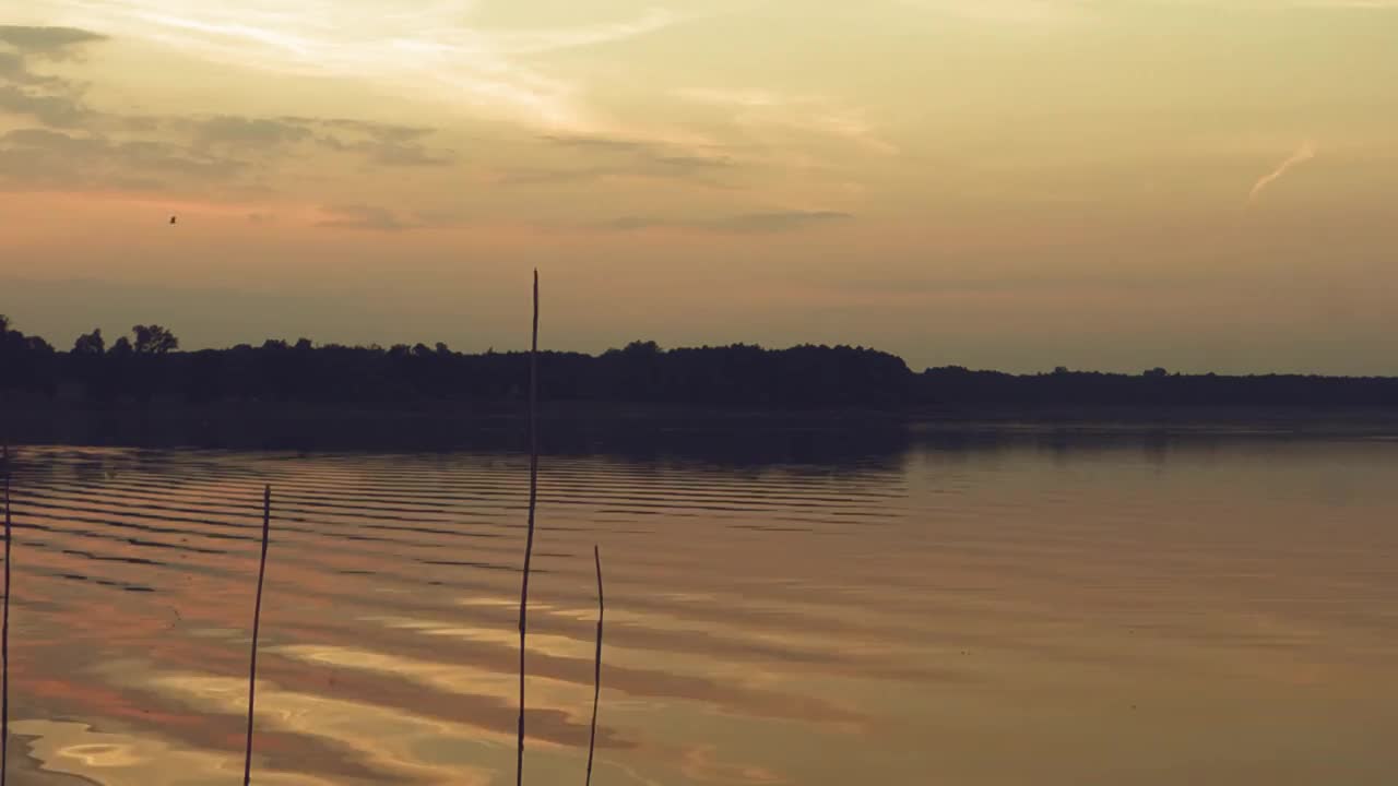 夏天晚上的湖。视频素材