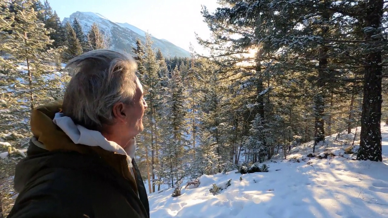 第一人称视角的成熟男子走过雪林视频素材