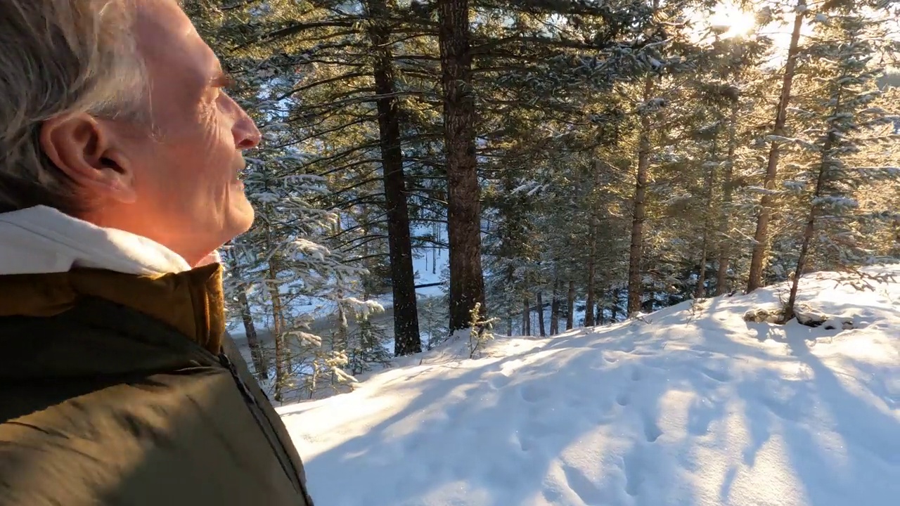 第一人称视角的成熟男子走过雪林视频素材