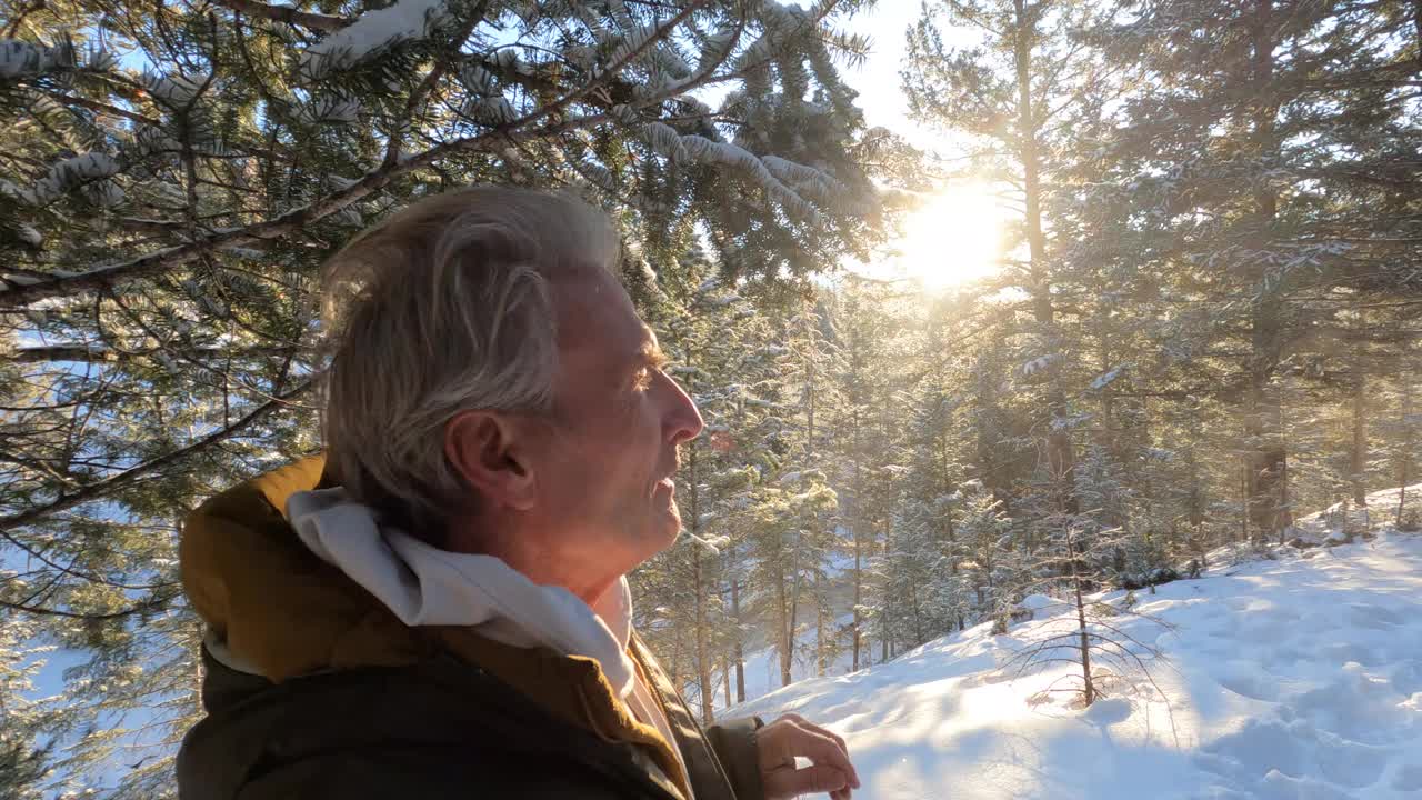 一个成熟的男人沿着白雪皑皑的山脊穿过针叶树视频素材