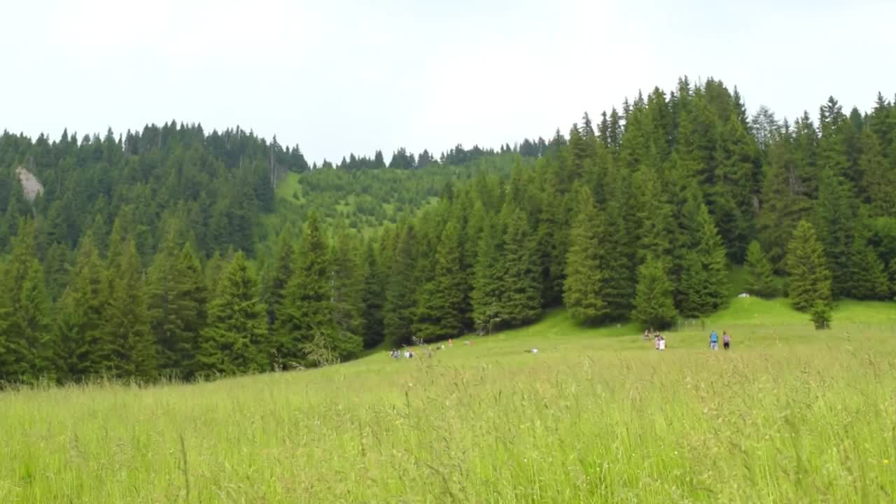 人们在风景优美的亚山区享受新鲜空气，有大片开阔的草地视频素材