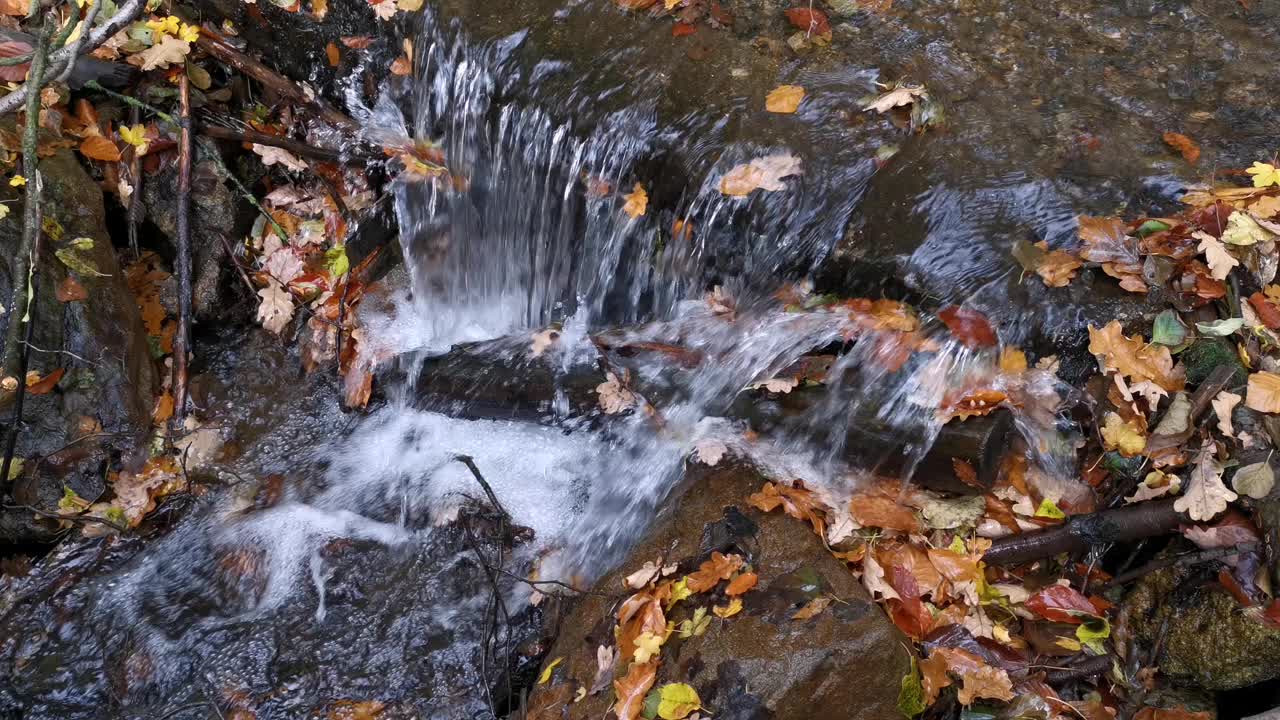 时光流逝的一条小河和秋叶视频素材