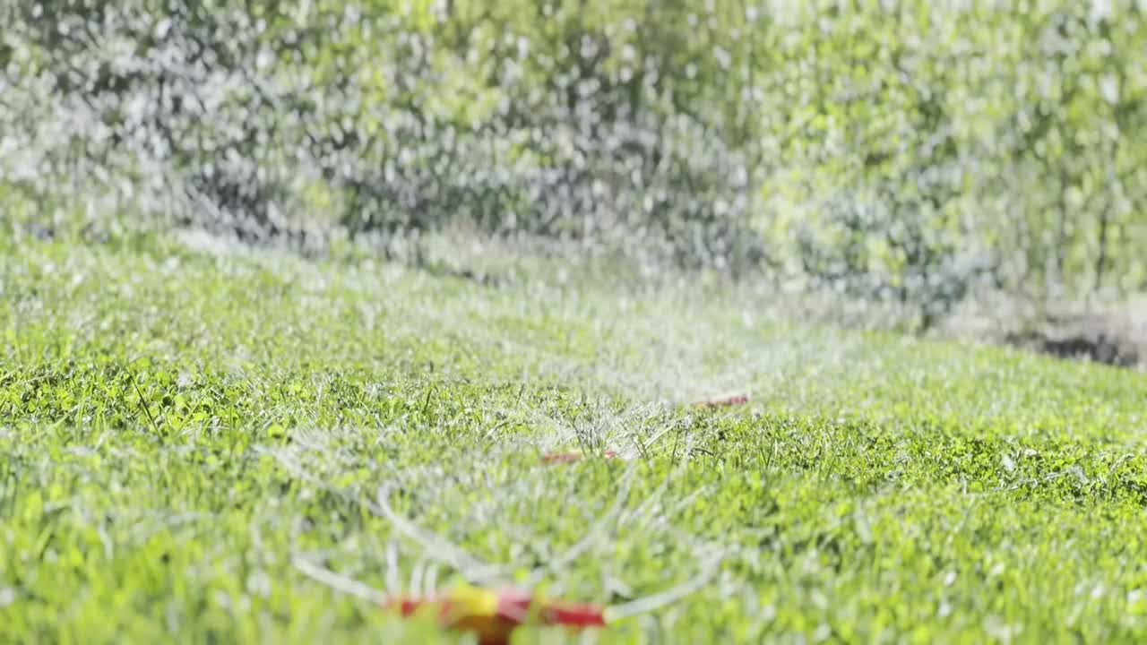 景观自动花园浇水系统与旋转喷头视频素材