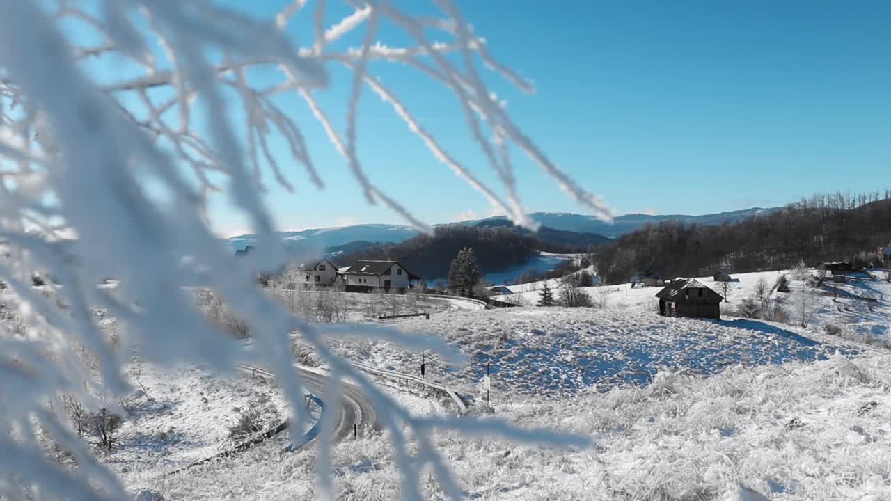 在一个下雪的冬天，树枝被雪覆盖的美丽景色视频素材