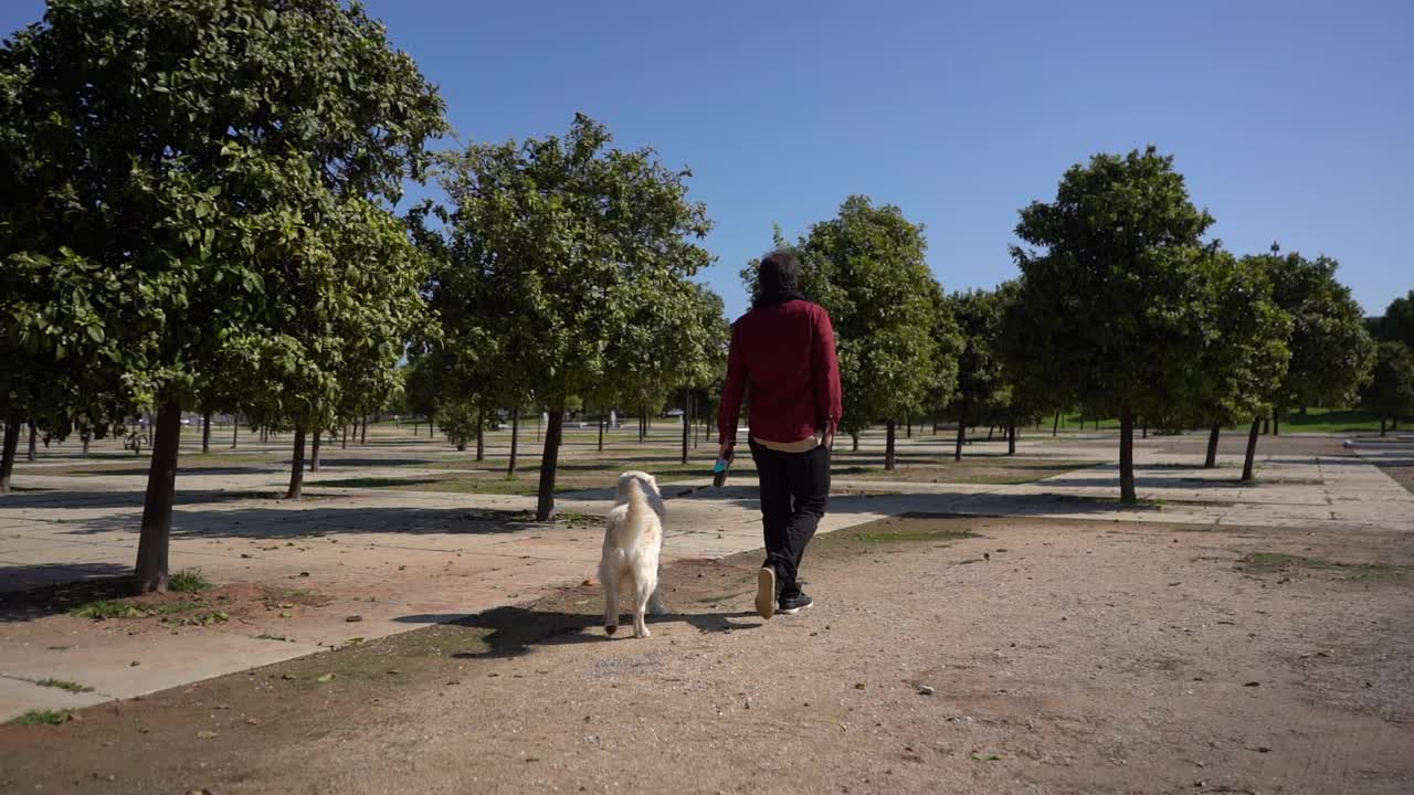 一名西班牙男子和他的金毛猎犬在公园里散步玩耍，慢动作视频素材