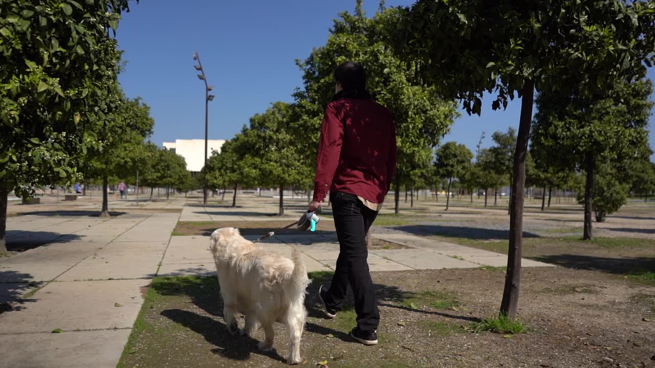 一名戴着面具的西班牙男子在公园里慢动作地和他的金毛猎犬散步玩耍视频素材