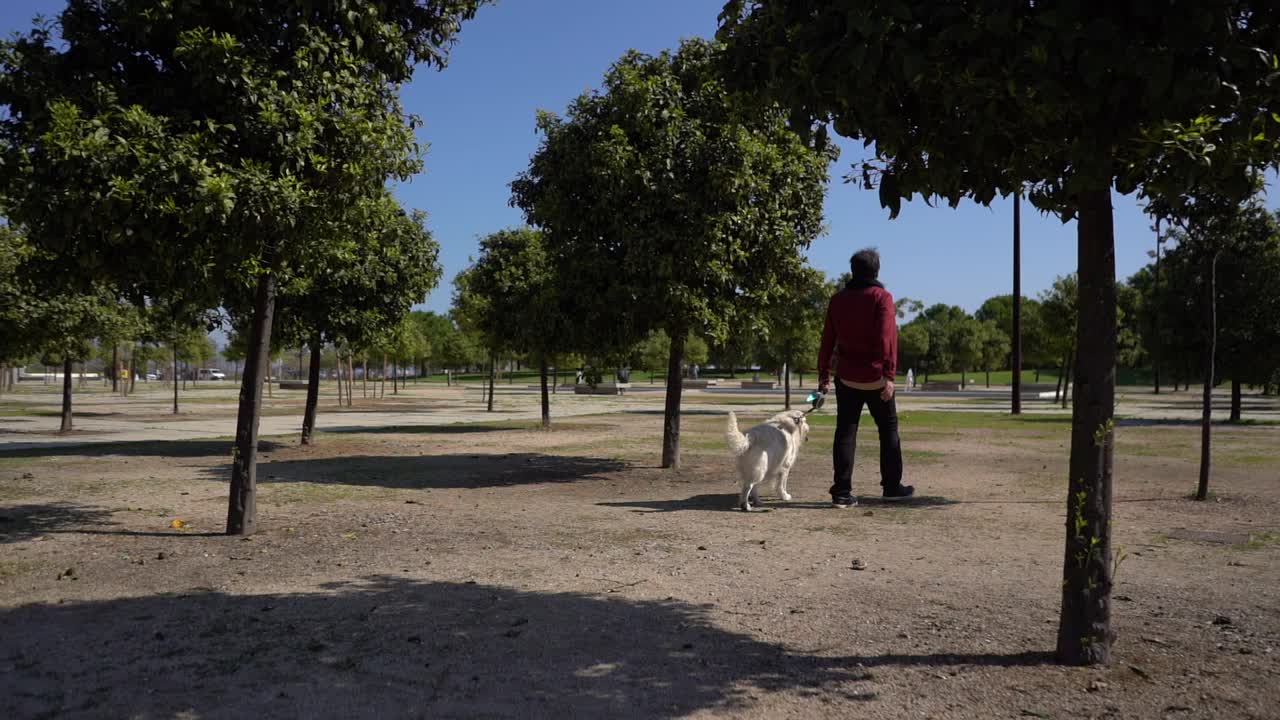 一名西班牙男子带着他的金毛猎犬在公园里慢镜头散步视频素材