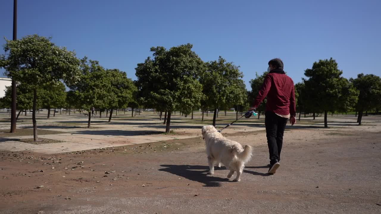 一名戴着面膜的西班牙男子带着他的金毛猎犬在公园里慢镜头散步视频素材