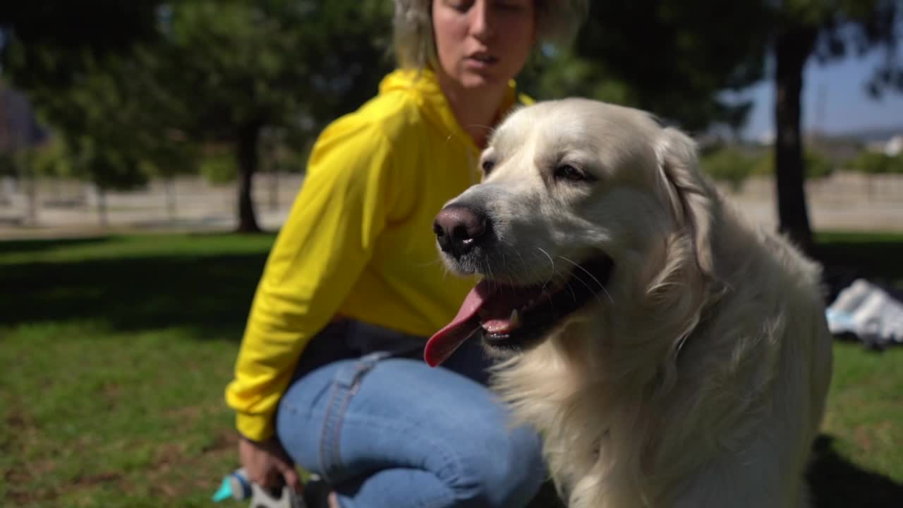 一名白人女性在公园里和她的金毛猎犬一起散步和玩耍视频素材