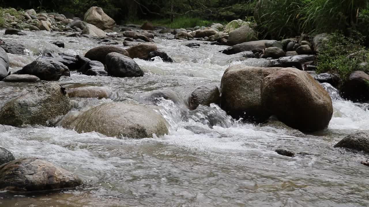 在HD中，流动的河流在岩石上的茂密树木和绿色植物的美丽景色视频素材